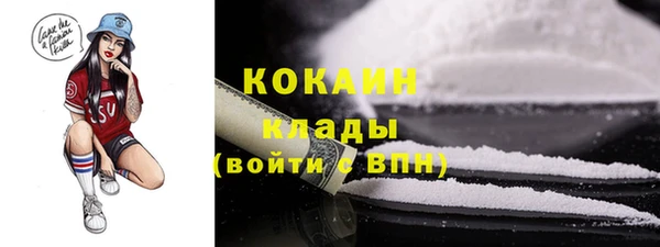 сатива Баксан