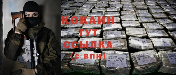 сатива Баксан